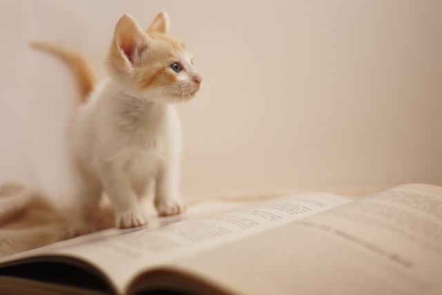 読書猫