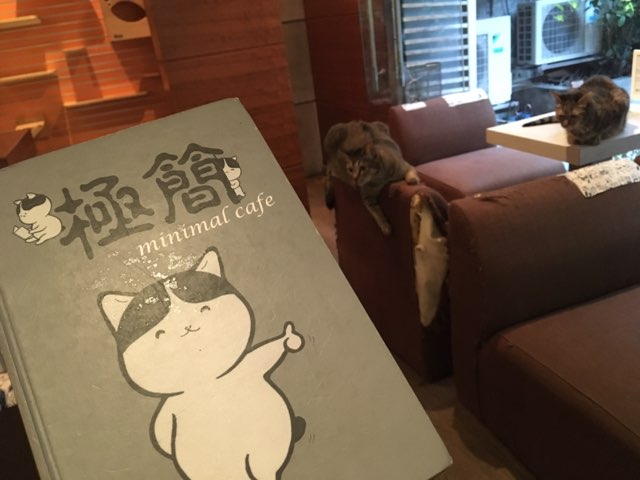 台北の老舗猫カフェ「極簡咖啡」で癒しのひととき。